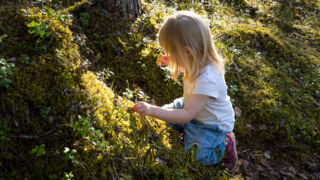 Lapsi tutkii maata metsässä.